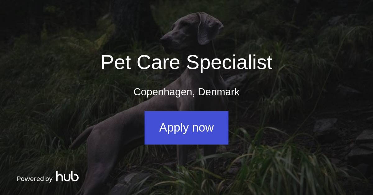 The Hub Pet Care Specialist My Peterinarian