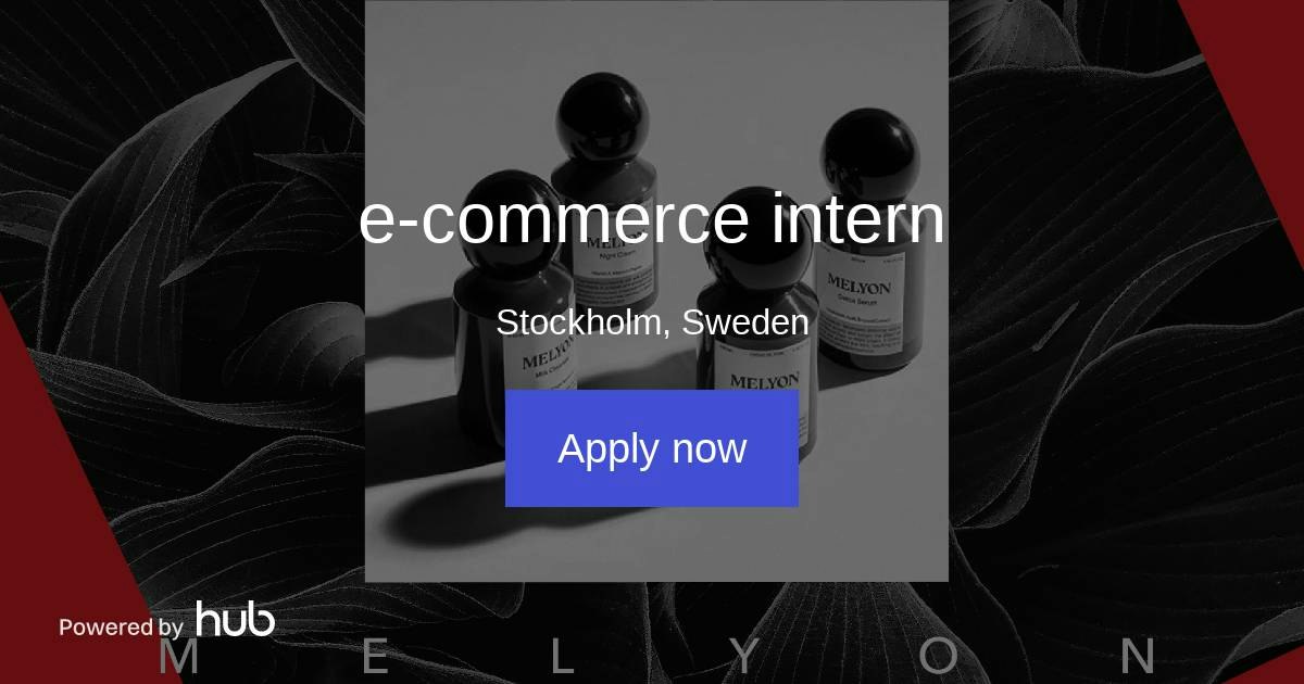 The Hub | e-commerce intern | Melyon