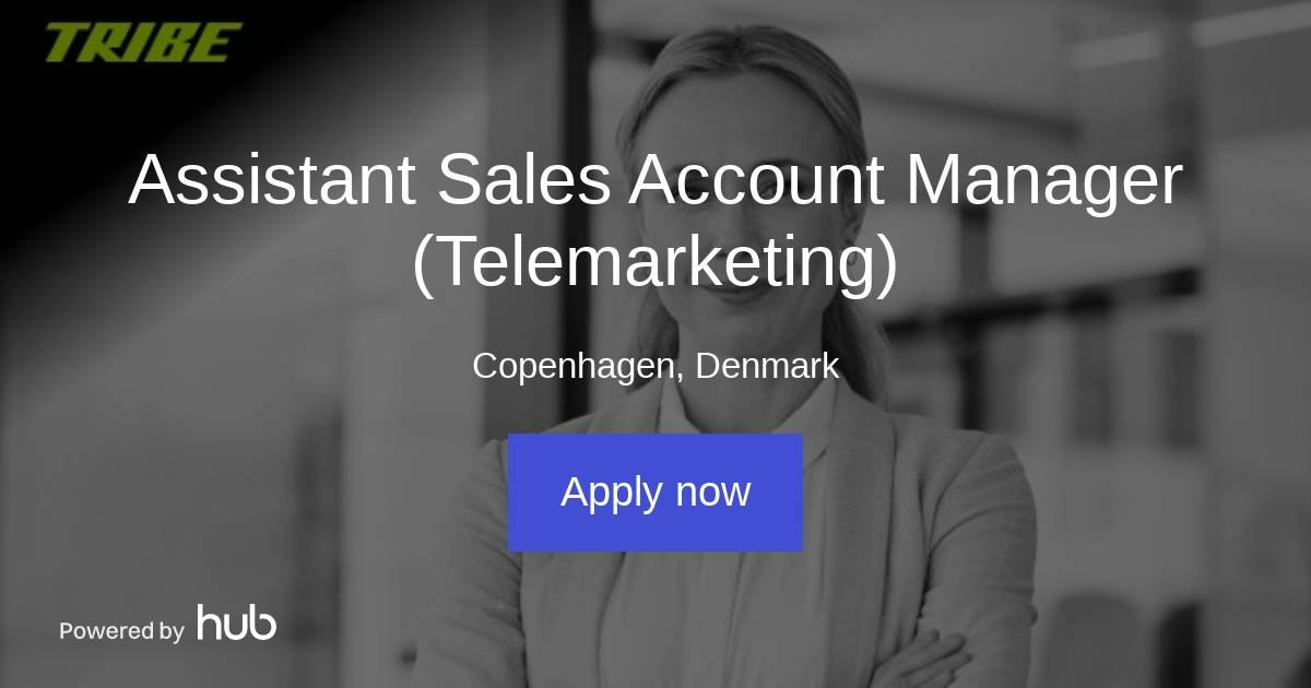 The Hub | Assistant Sales Account Manager (Telemarketing) | Tribe