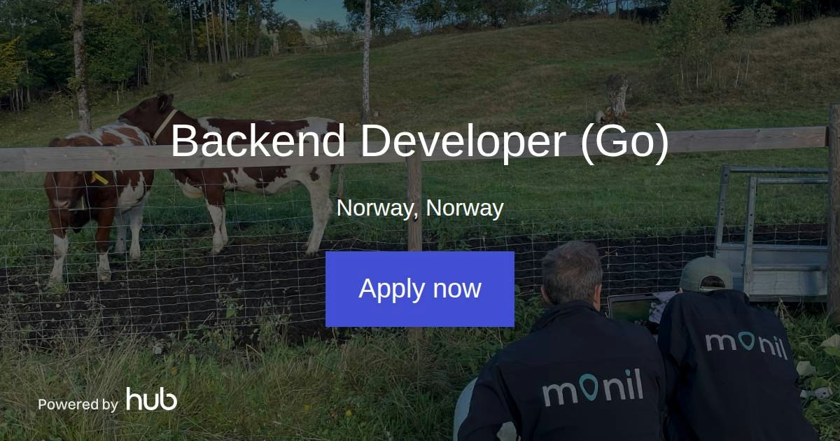 The Hub | Backend Developer (Go) | Monil AS